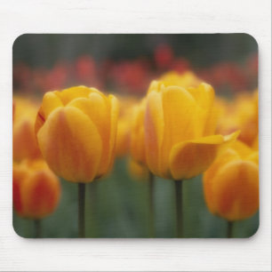Alfombrilla De Ratón Tulipanes 2