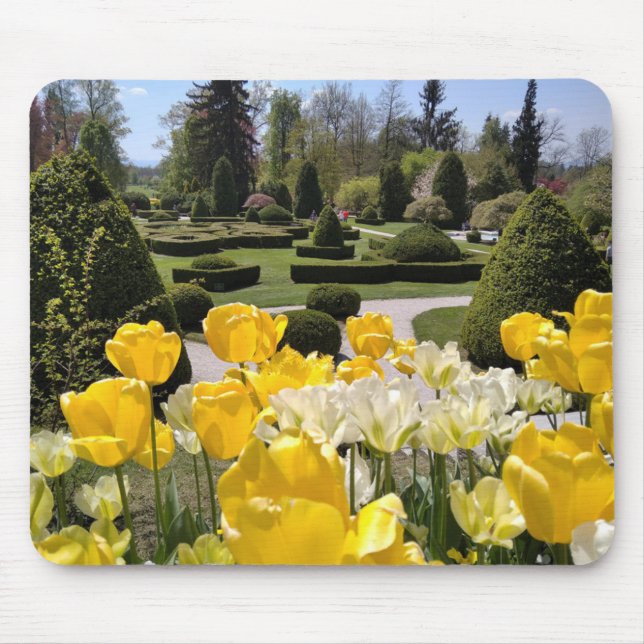 Alfombrilla De Ratón Tulipanes amarillos del Arboretum Volcji Potok Esl (Frente)