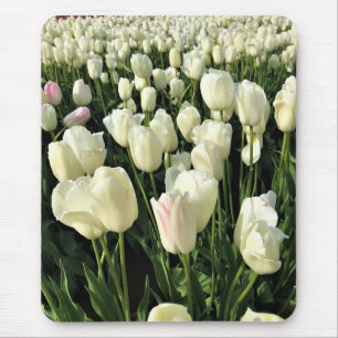 Alfombrilla De Ratón Tulipanes blancos en un campo, Oregón