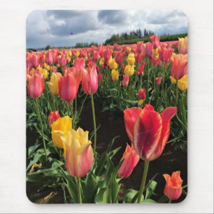 Alfombrilla De Ratón Tulipanes de primavera en un campo, Oregón