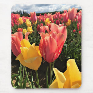 Alfombrilla De Ratón Tulipanes de primavera en un campo, Oregón