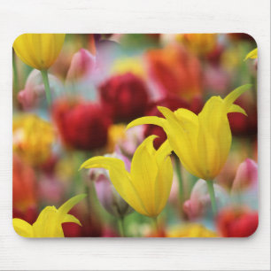 Alfombrilla De Ratón Tulipanes en primavera