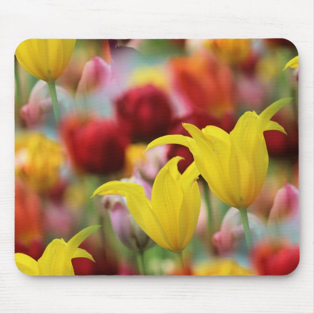 Alfombrilla De Ratón Tulipanes en primavera (Frente)