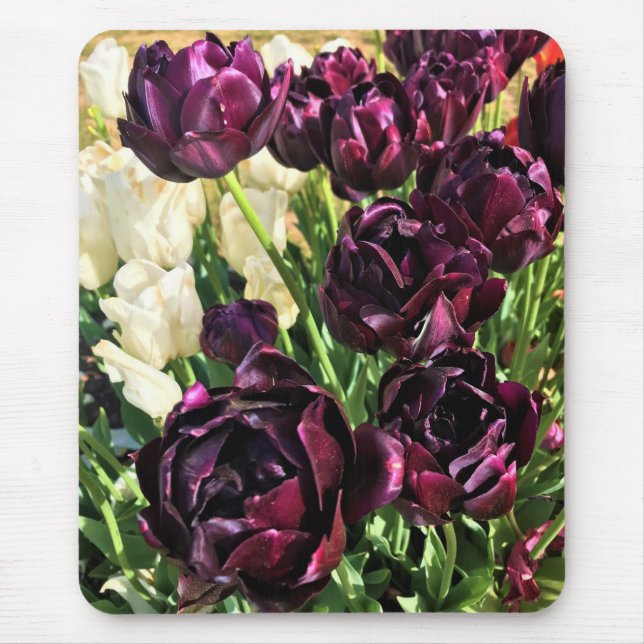 Alfombrilla De Ratón Tulipanes Héroes Negros, Oregón (Frente)
