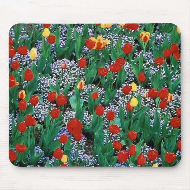 Alfombrilla De Ratón tulipanes por TDGallery (Frente)
