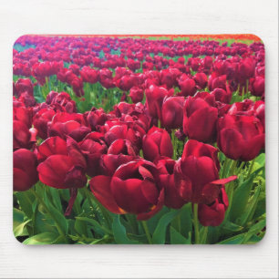 Alfombrilla De Ratón Tulipanes rojos en un campo, Oregón