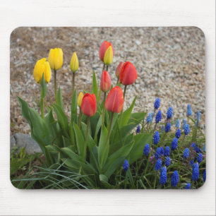 Alfombrilla De Ratón Tulipanes rojos y amarillos