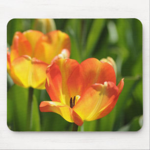 Alfombrilla De Ratón Tulipanes rojos y amarillos en jardín de primavera
