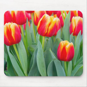Alfombrilla De Ratón Tulipanes rojos y amarillos vibrantes en jardín de
