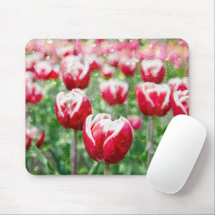 Electrónica Tulipanes Blancos Y Rojos - Accesorios electrónicos | Zazzle.es