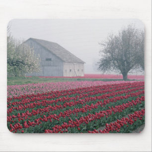 Alfombrilla De Ratón Tulipanes rojos y rosados saludan el día en una ni