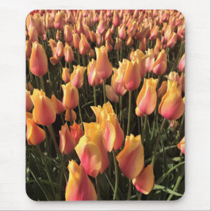 Alfombrilla De Ratón Tulipanes rosa y amarillo bonito