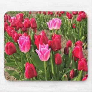 Alfombrilla De Ratón Tulipanes rosados y rojos
