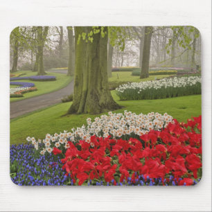 Alfombrilla De Ratón Tulipanes y narcisos, Jardines Keukenhof,