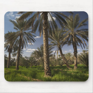 Alfombrilla De Ratón Túnez, zona de Ksour, Ksar Ghilane, palmera datile