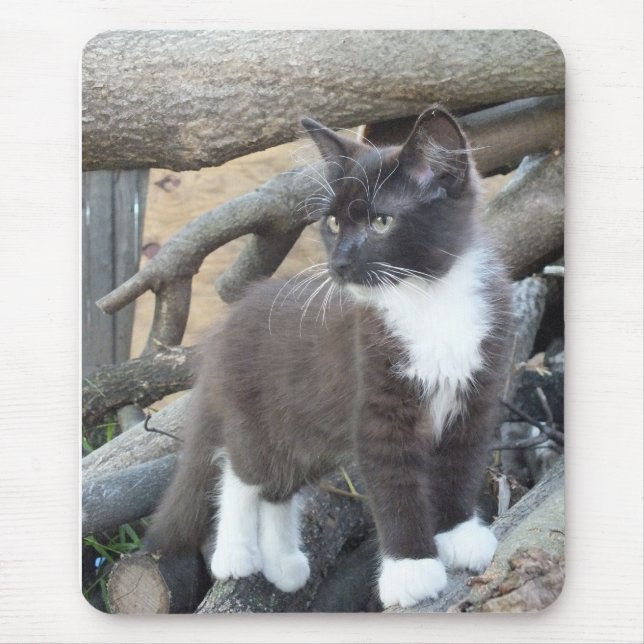 Alfombrilla De Ratón Tuxedo Kitten (Frente)