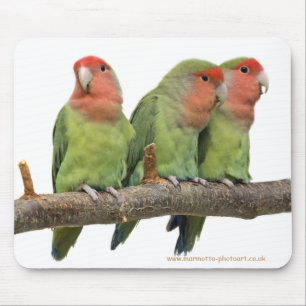 Alfombrilla De Ratón Tweet Trio Mousemat