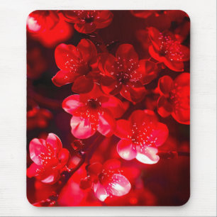 Alfombrilla De Ratón Twilight Cherry Blossom Glow