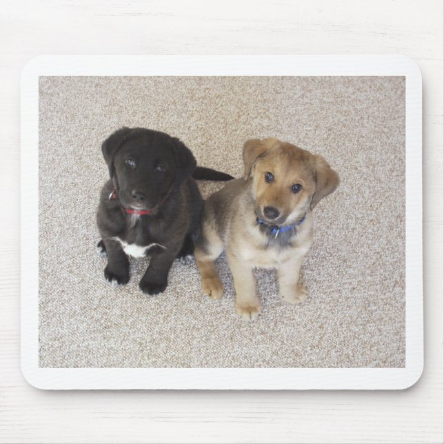 Alfombrilla De Ratón Two Cute Labrador Puppies (Frente)