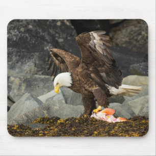 Alfombrilla De Ratón Último Eagle calvo