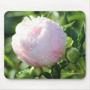 Alfombrilla De Ratón Último Peony de la primavera del rosa