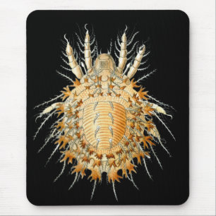 Alfombrilla De Ratón Un ácaro