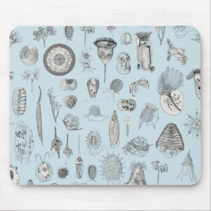 Alfombrilla De Ratón Un bestiario de protozoos