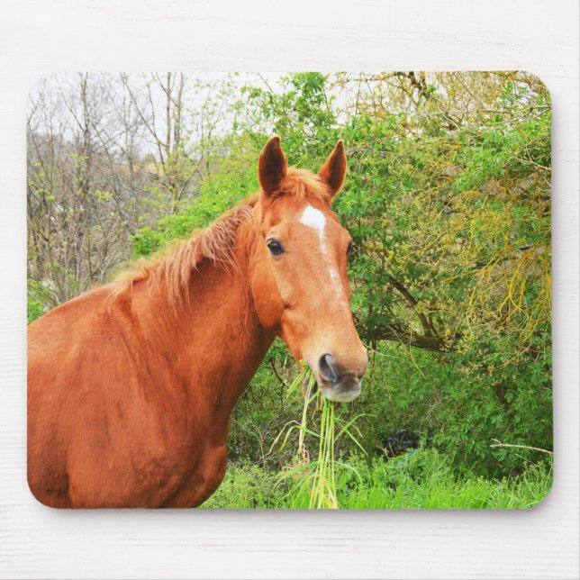 Alfombrilla De Ratón Un caballo llamado Orion (Frente)
