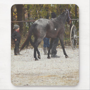 Alfombrilla De Ratón Un caballo nuevo