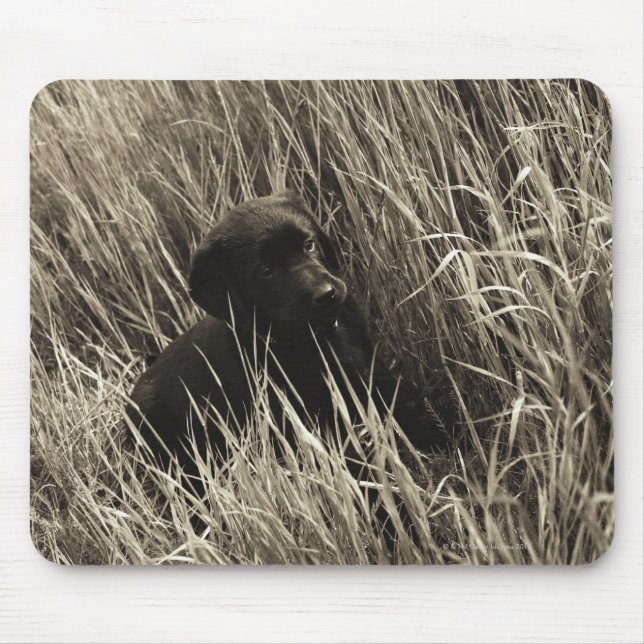 Alfombrilla De Ratón Un cachorro negro en un prado. (Frente)