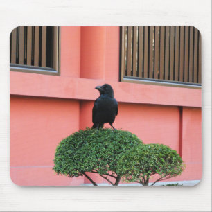 Alfombrilla De Ratón Un Círculo De Jungla De Gran Montura Una Percha En