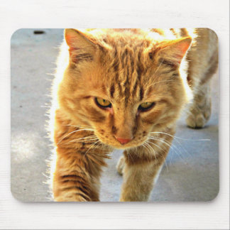 Alfombrilla De Ratón Un cojín de ratón del gato