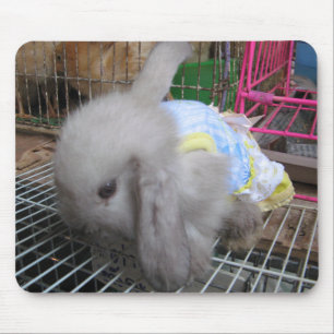 Alfombrilla De Ratón Un conejo en un vestido