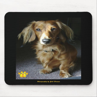 Alfombrilla De Ratón Un Dachshund distinguido Mousepad