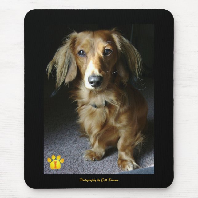 Alfombrilla De Ratón Un Dachshund distinguido Mousepad (Frente)