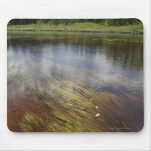 Alfombrilla De Ratón Un Estanque Todavía Refleja Las Nubes