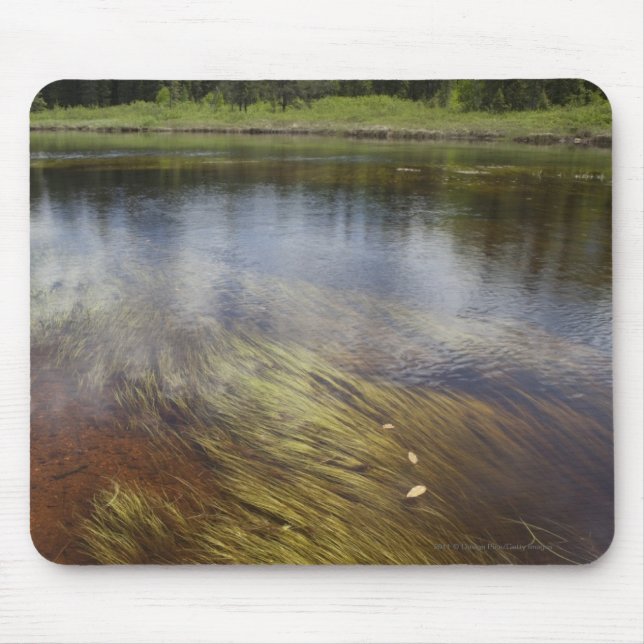 Alfombrilla De Ratón Un Estanque Todavía Refleja Las Nubes (Frente)