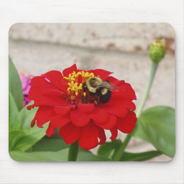 Alfombrilla De Ratón Un Festín de Abejas de Miel (Frente)