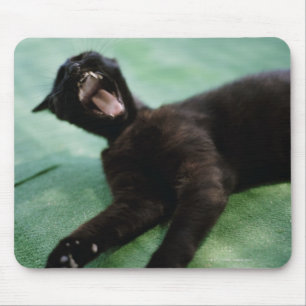 Alfombrilla De Ratón Un gato de bostezo