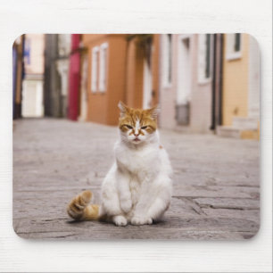 Alfombrilla De Ratón Un gato en las calles de Burano, Italia. 2006.