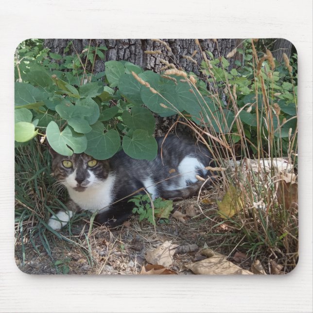 Alfombrilla De Ratón Un gato escondiéndose (Frente)