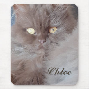 Alfombrilla De Ratón Un gato mimado
