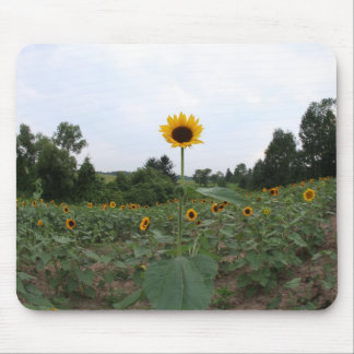 Alfombrilla De Ratón un girasol alto