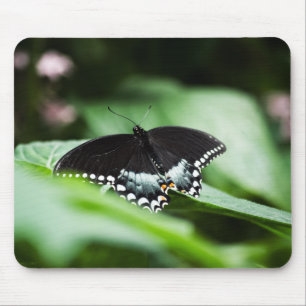 Alfombrilla De Ratón Un Mousepad Apariente
