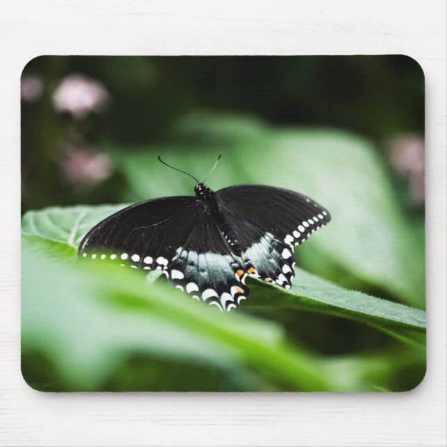 Alfombrilla De Ratón Un Mousepad Apariente (Frente)