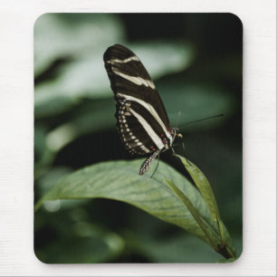 Alfombrilla De Ratón Un Mousepad de comidas equilibrado