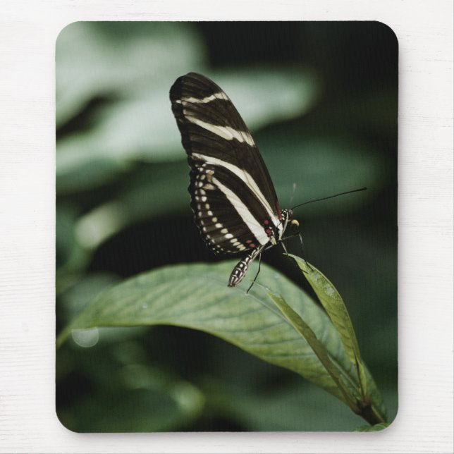 Alfombrilla De Ratón Un Mousepad de comidas equilibrado (Frente)