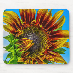 Alfombrilla De Ratón Un Mousepad de girasol