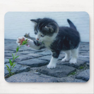Alfombrilla De Ratón Un pequeño gatito lindo jugando con una flor