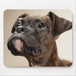 Alfombrilla De Ratón Un perrito Brindle del boxeador que mira para